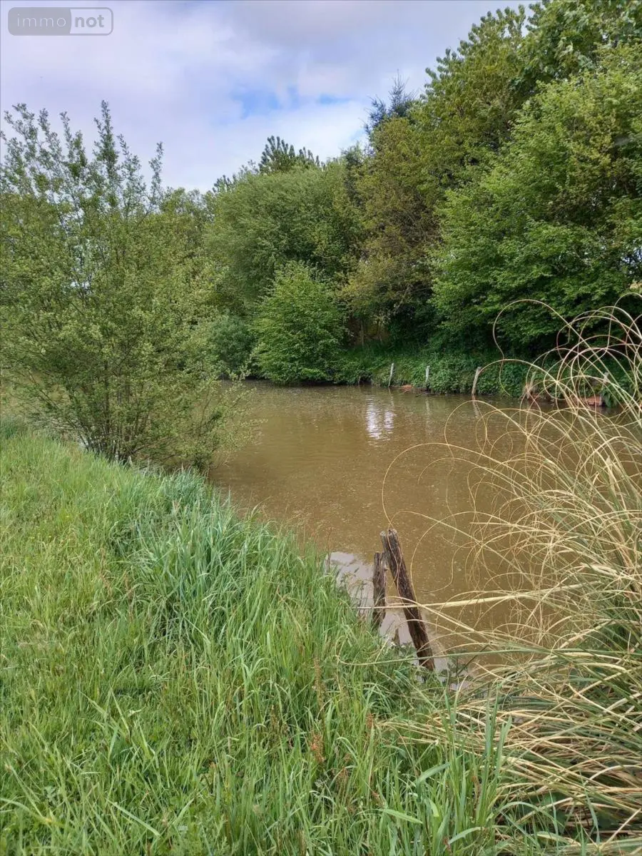 Terrains de loisirs bois etangs a vendre La Pellerine 53220 Mayenne 53 25000 euros 53077-1080800 004