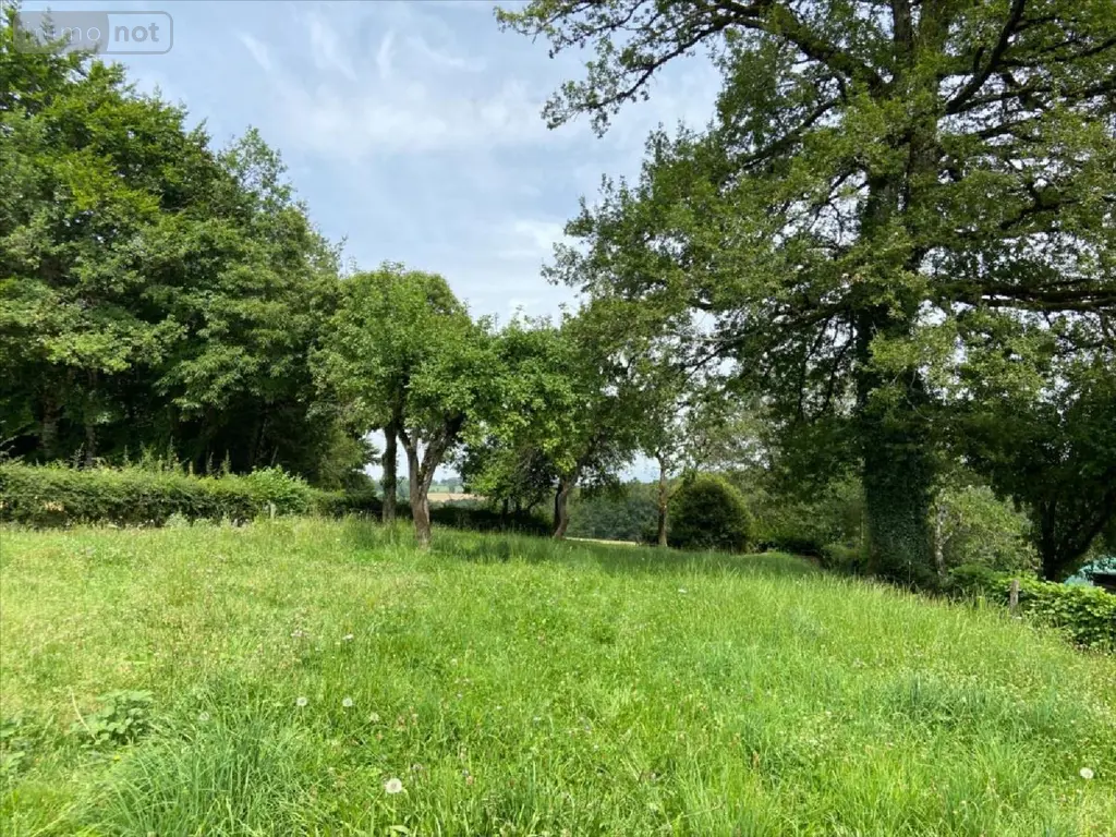 Maison a vendre Saint-Illide 15310 Cantal 15 78 m2 4 pièces 53000 euros 15061-1058070 005