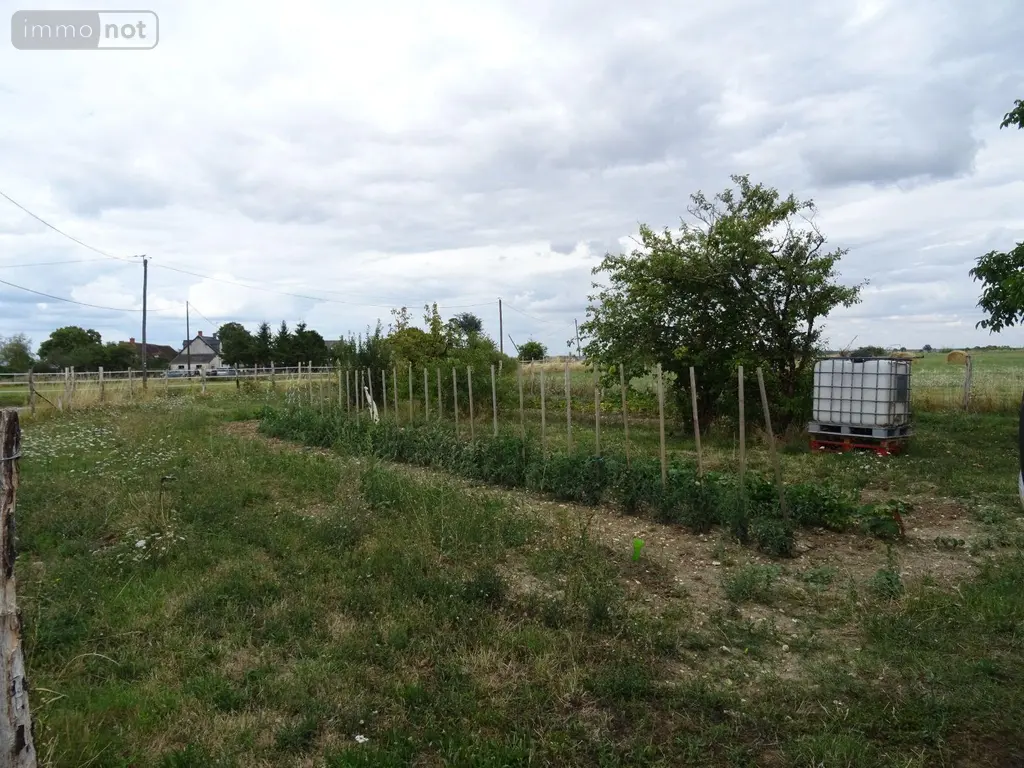 Maison a vendre Buzançais 36500 Indre 36 69 m2 5 pièces 79500 euros 36019/807 008