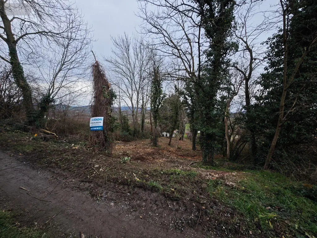 Terrain a batir a vendre Moissat 63190 Puy-de-Dôme 63 26750 euros 13372/289 003