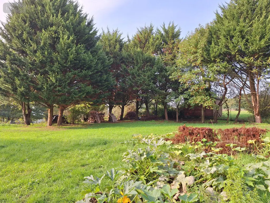 Maison a vendre Chailland 53420 Mayenne 53 30 m2 2 pièces 65100 euros 53077-4 004