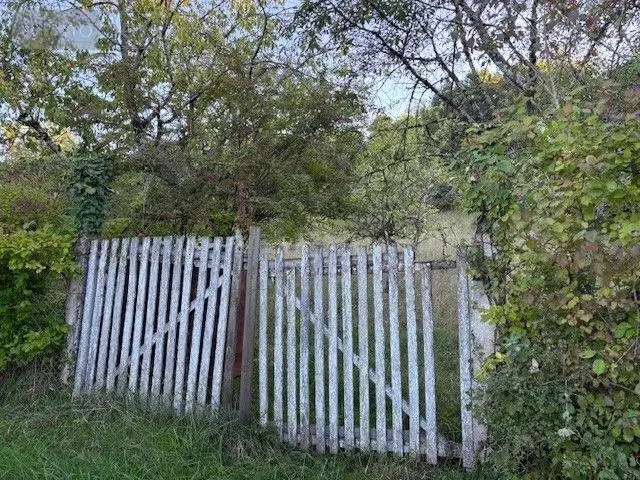 Terrains de loisirs bois etangs a vendre Saint-Amand-Montrond 18200 Cher 18 9000 euros 18022/824 002