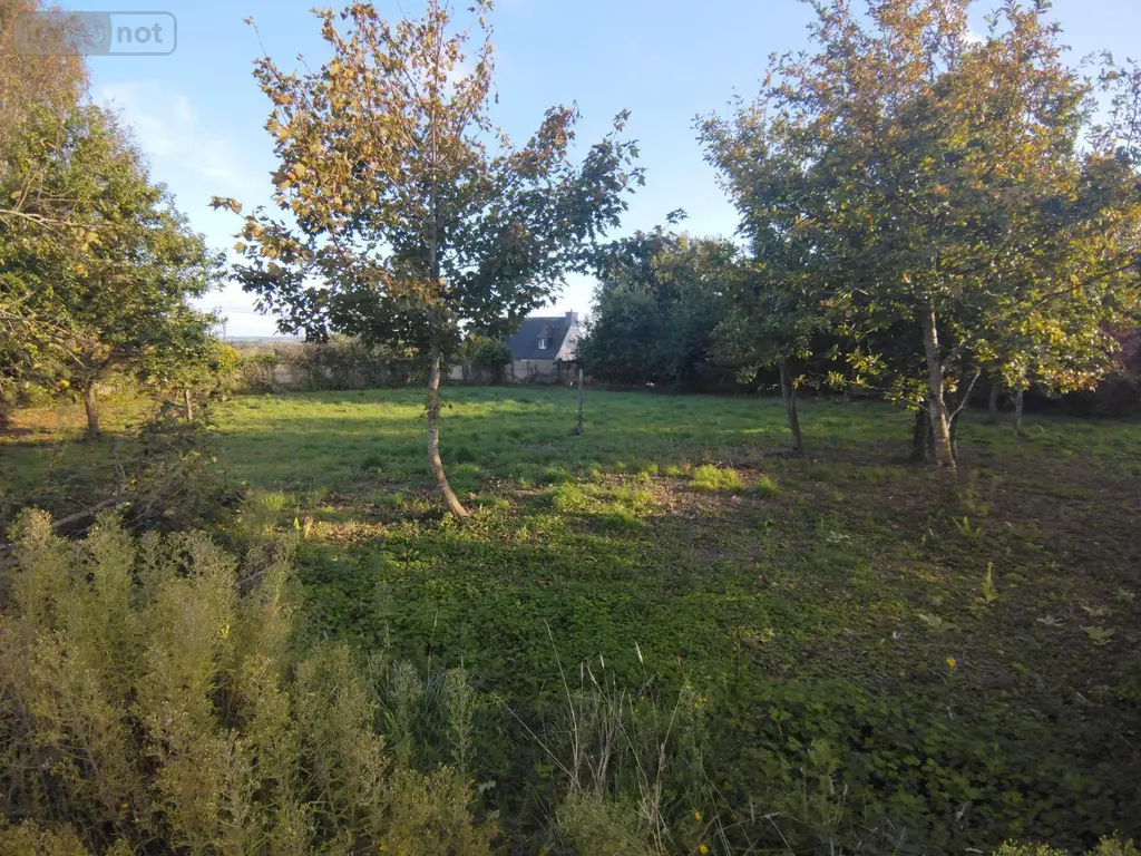 Terrain a batir a vendre Guimaëc 29620 Finistère 29 50000 euros MAGU 003