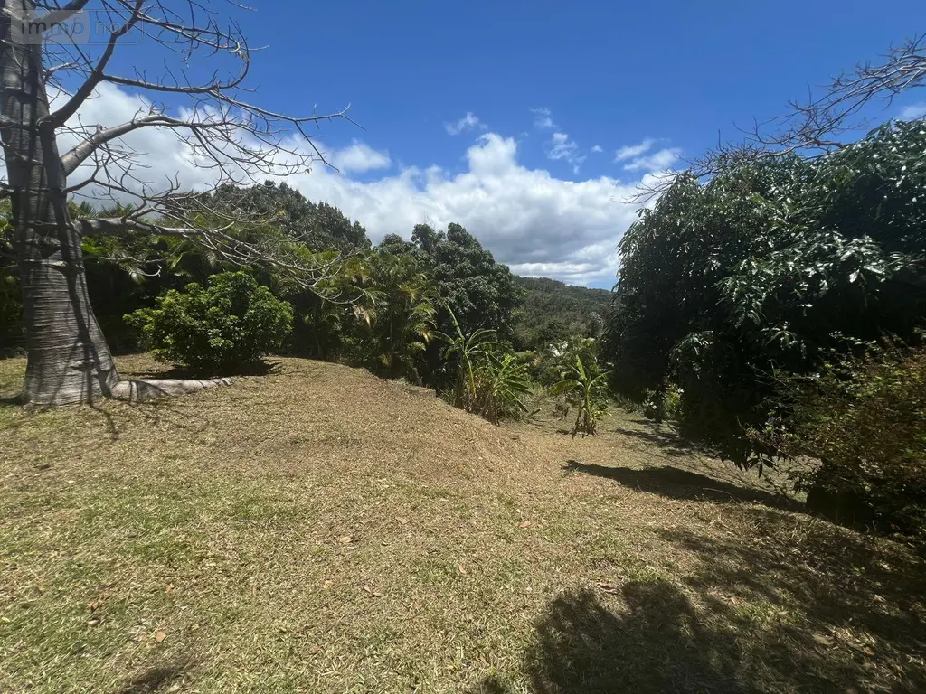 Terrain a batir a vendre Montagne 33570 Gironde 33 149800 euros 97405/211 003