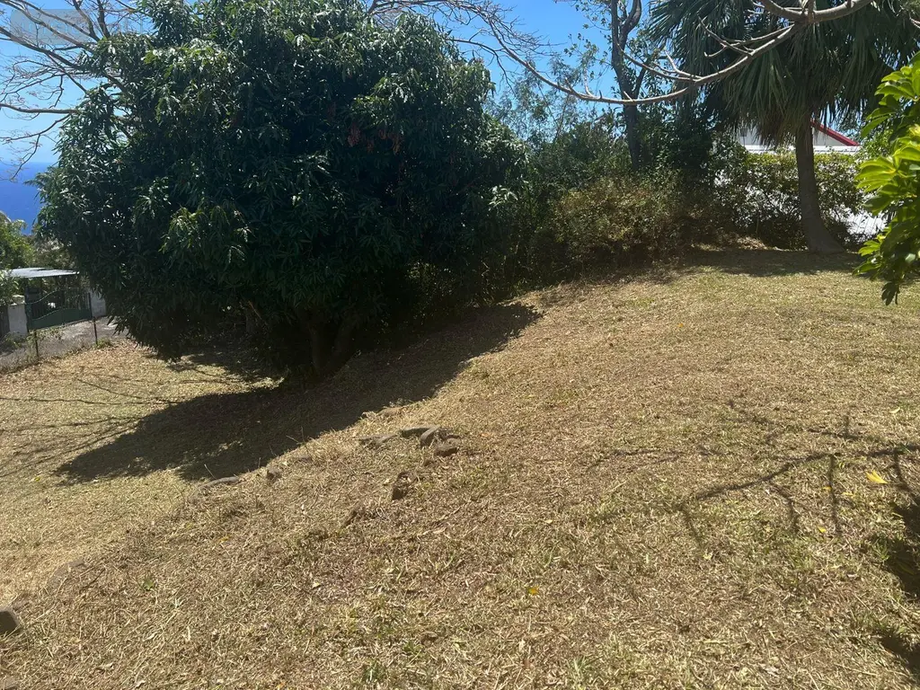 Terrain a batir a vendre Montagne 33570 Gironde 33 149800 euros 97405/211 006