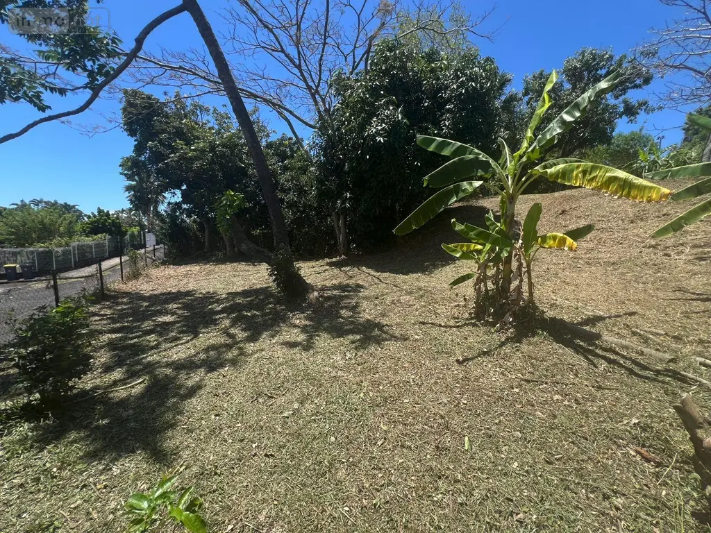 Terrain a batir a vendre Montagne 33570 Gironde 33 149800 euros 97405/211 001