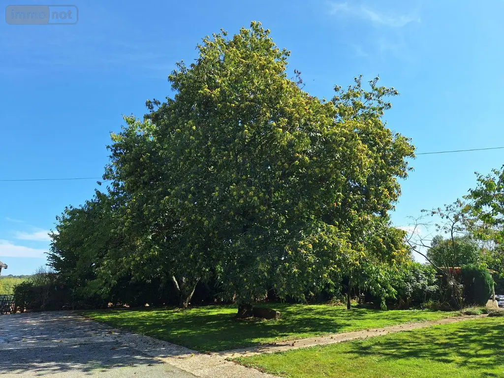 Maison a vendre Saint-Denis-de-Gastines 53500 Mayenne 53 53 m2 3 pièces 94500 euros 53077-8 007