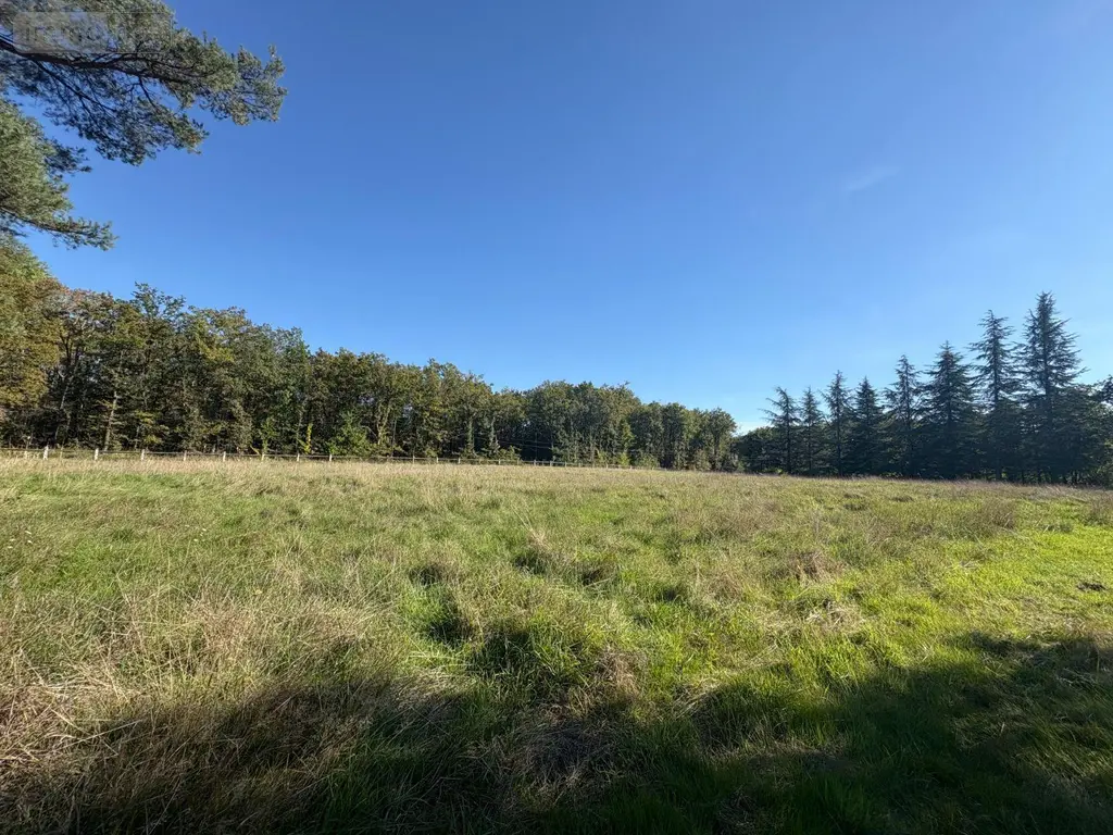 Terrains de loisirs bois etangs a vendre Neuillay-les-Bois 36500 Indre 36 25 m2 100700 euros 037/2637 006