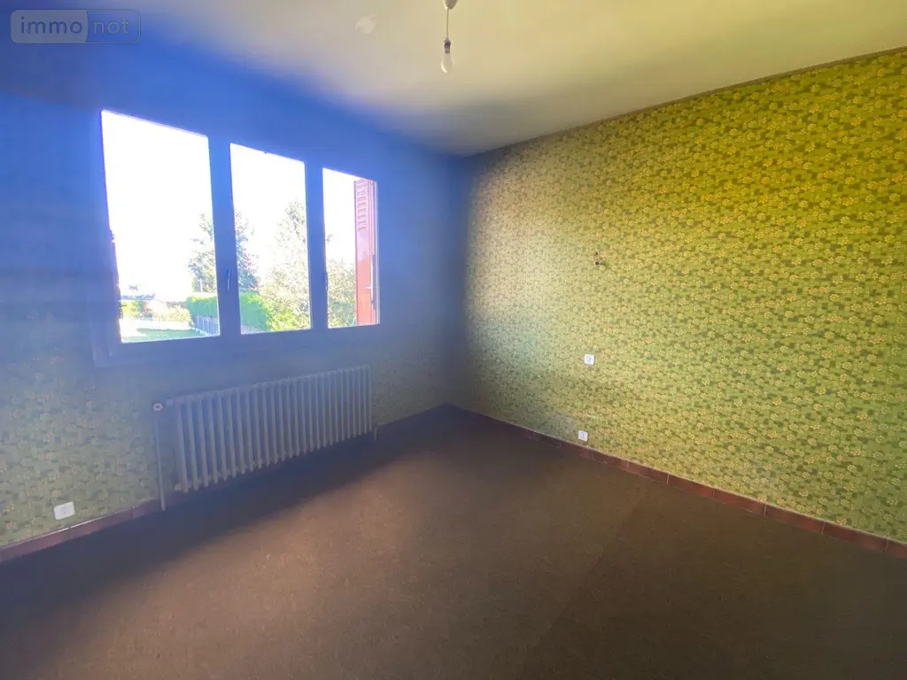 Maison a vendre Buzançais 36500 Indre 36 197 m2 7 pièces 170800 euros 1049970 008