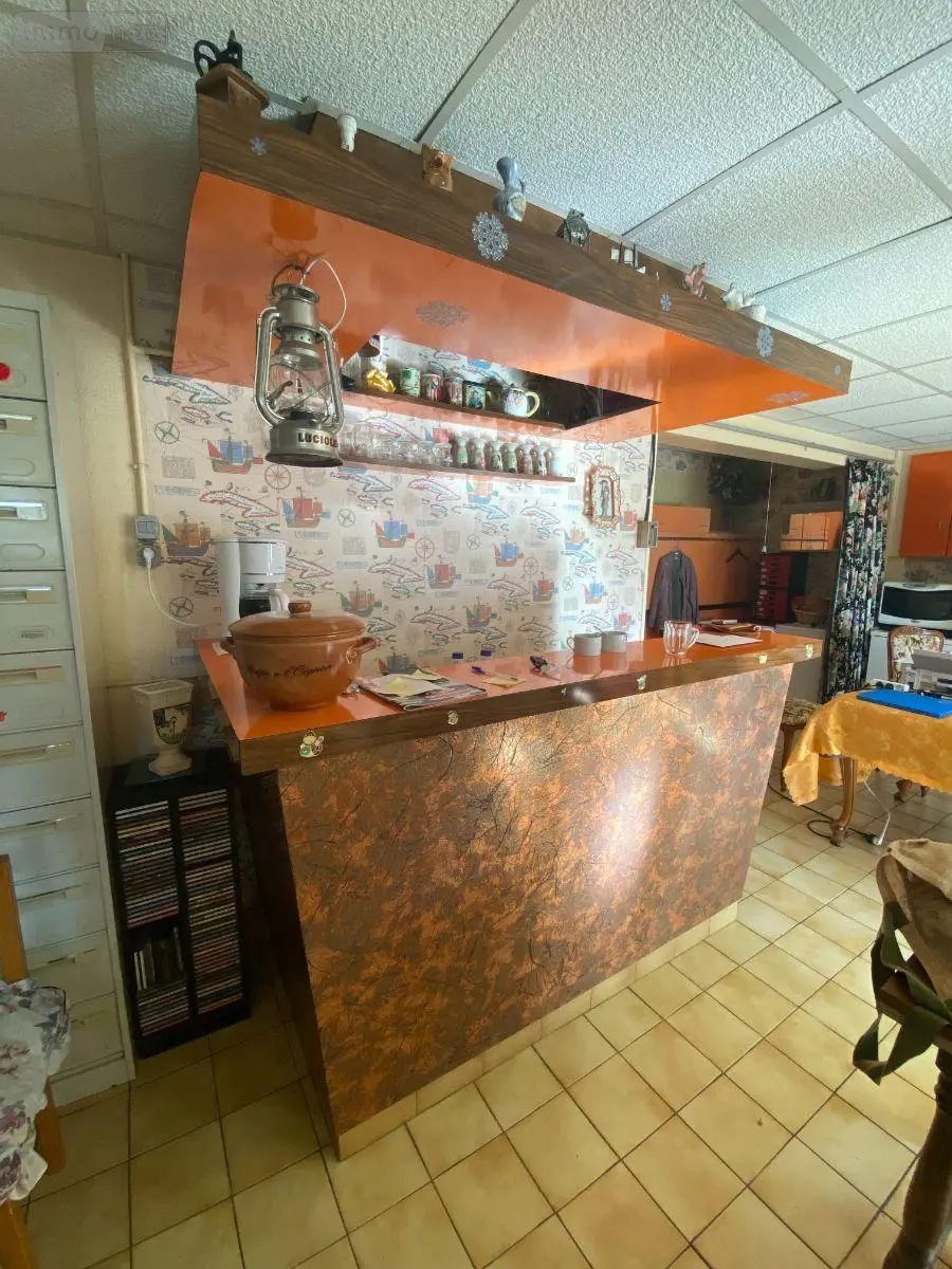 Maison a vendre Buzançais 36500 Indre 36 197 m2 7 pièces 170800 euros 1049970 012