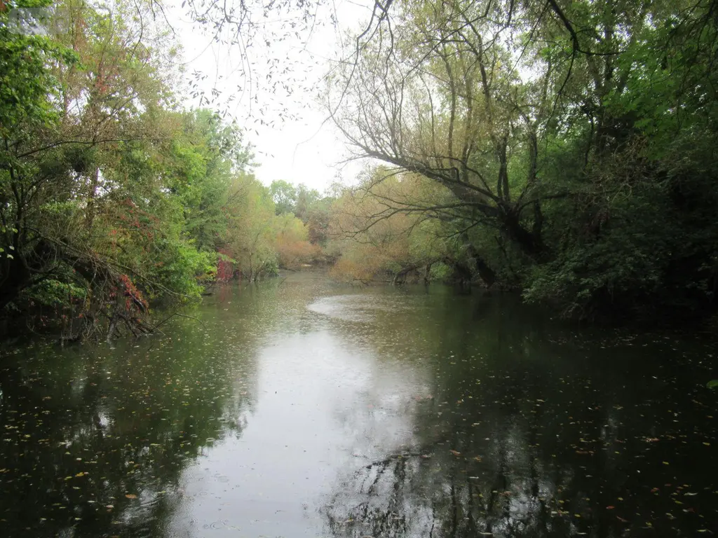 Terrains de loisirs bois etangs a vendre Troyes 10000 Aube 10 37310 euros 10377/920 001