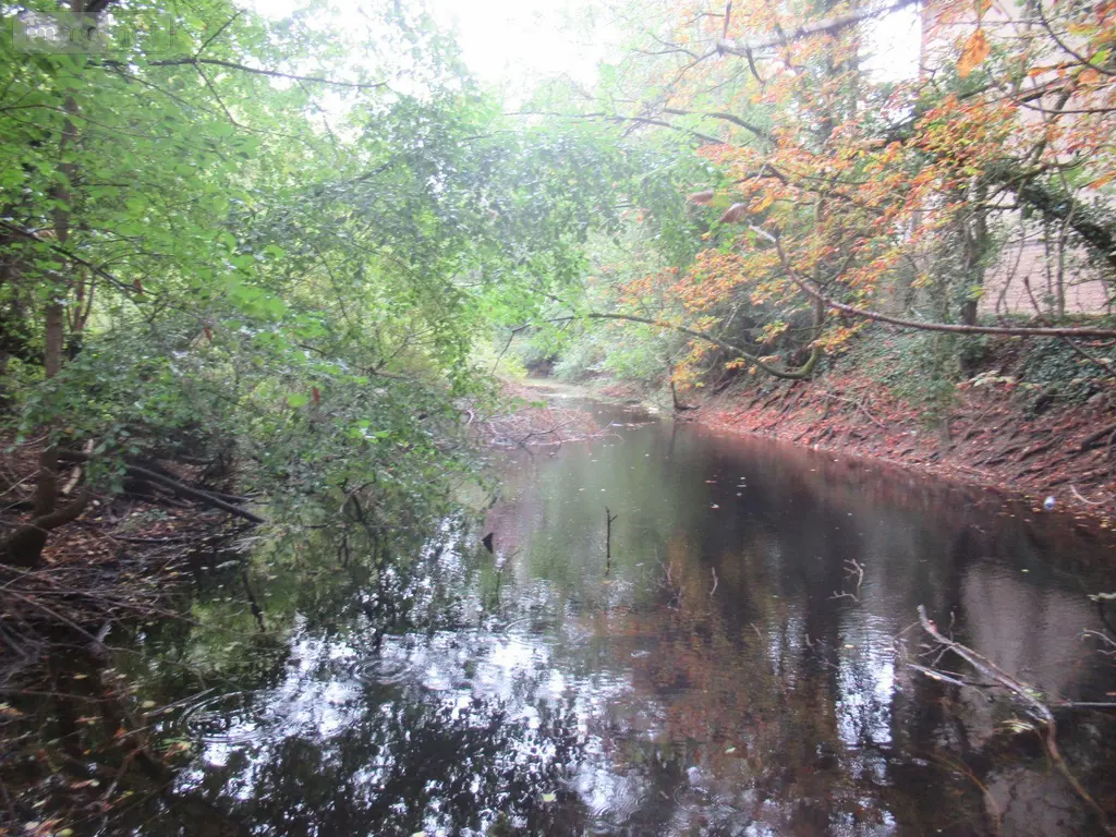 Terrains de loisirs bois etangs a vendre Troyes 10000 Aube 10 37310 euros 10377/920 005