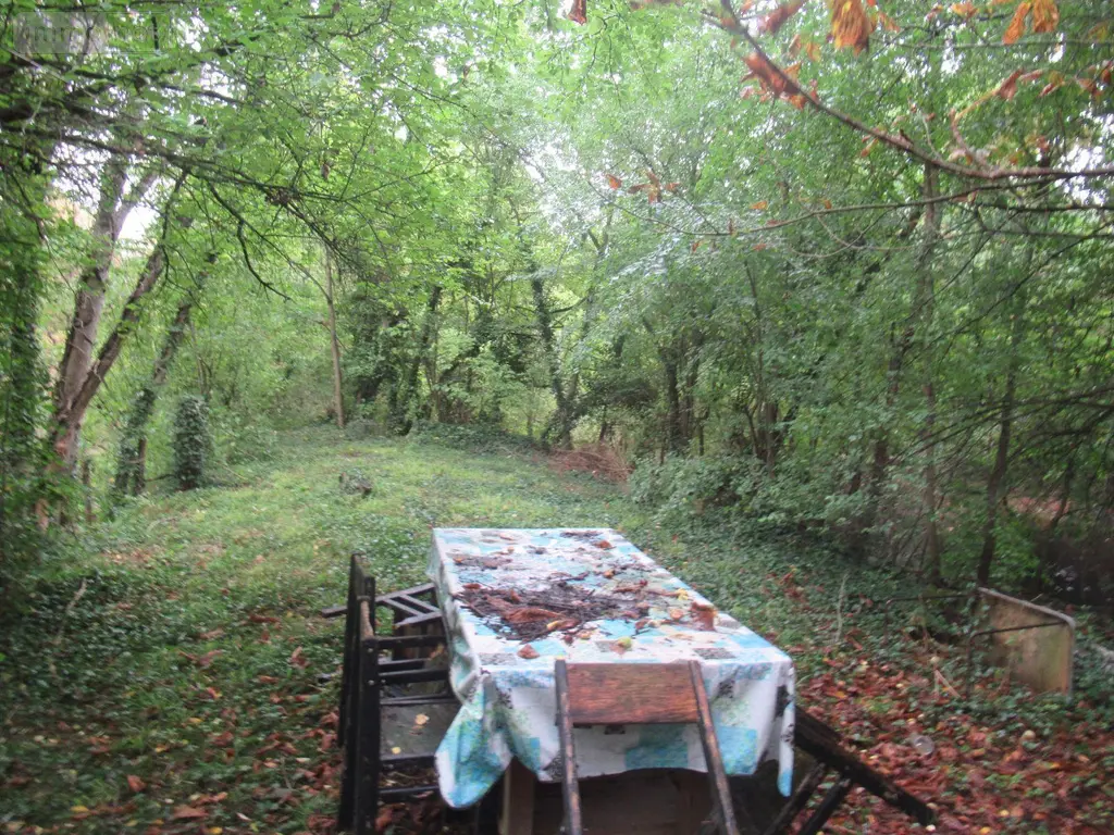 Terrains de loisirs bois etangs a vendre Troyes 10000 Aube 10 37310 euros 10377/920 007