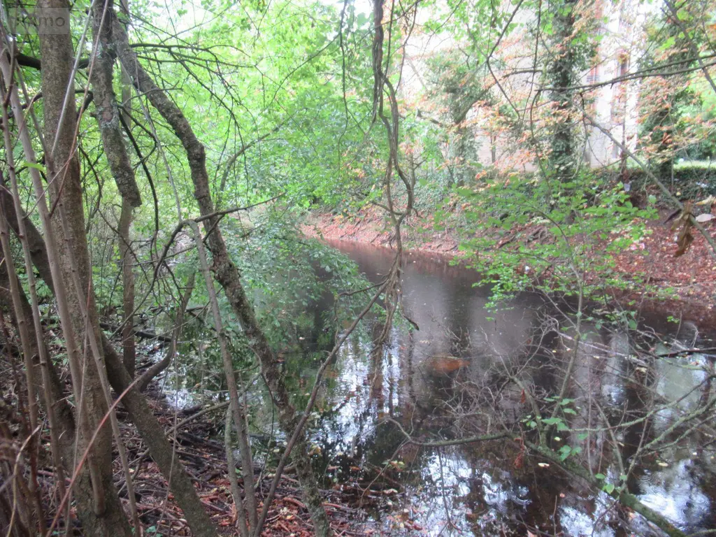 Terrains de loisirs bois etangs a vendre Troyes 10000 Aube 10 37310 euros 10377/920 008