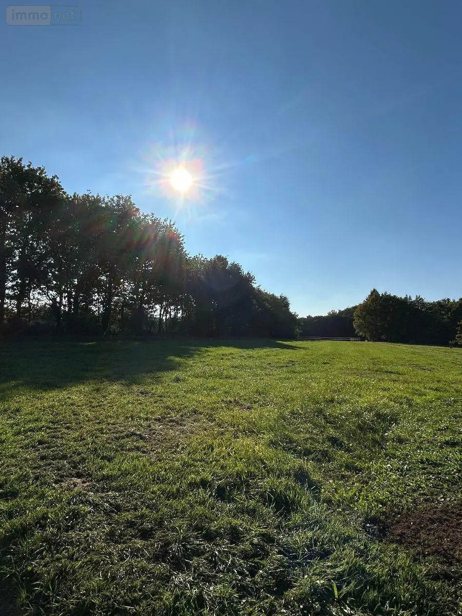 Terrain a batir a vendre Le Magny 36400 Indre 36 3000 m2 38000 euros 2459 003