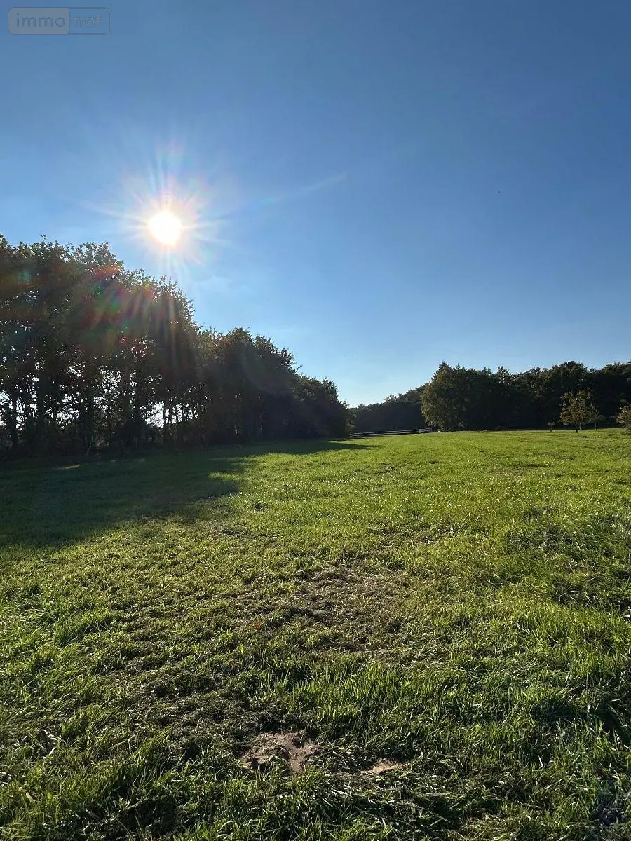 Terrain a batir a vendre Le Magny 36400 Indre 36 3000 m2 38000 euros 2459 004