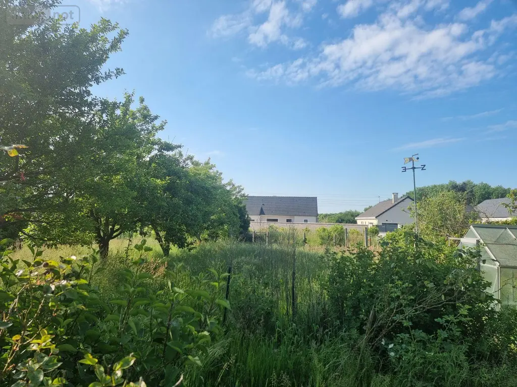 Maison a vendre Romorantin-Lanthenay 41200 Loir-et-Cher 41 56 m2 3 pièces 84320 euros 41036/3125 006