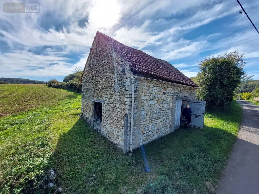 Maison a vendre Jayac 24590 Dordogne 24 35 m2 29500 euros 18113/145 001