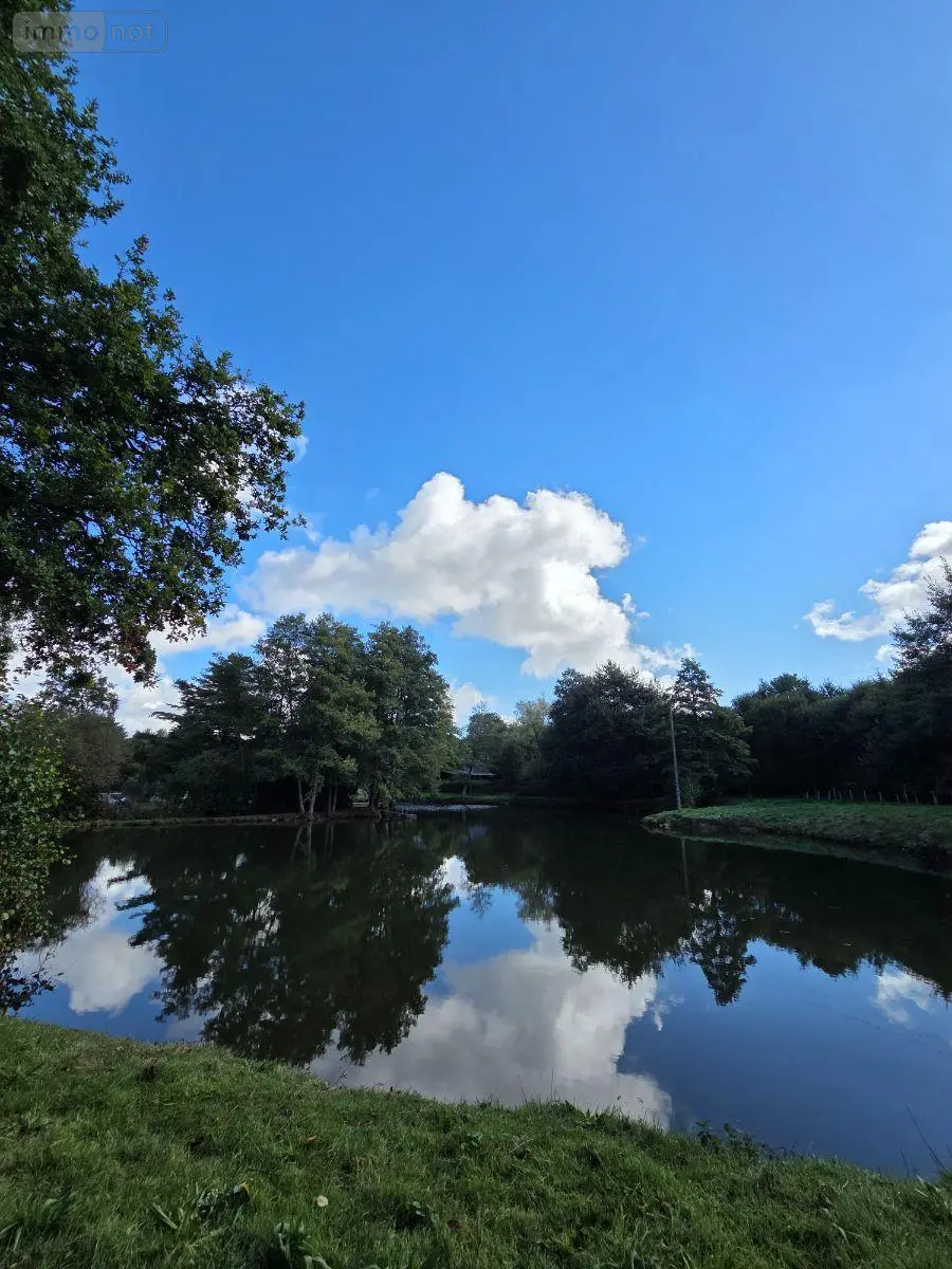 Terrains de loisirs bois etangs a vendre Vimartin-sur-Orthe 53160 Mayenne 53 18 m2 26500 euros 1373 004