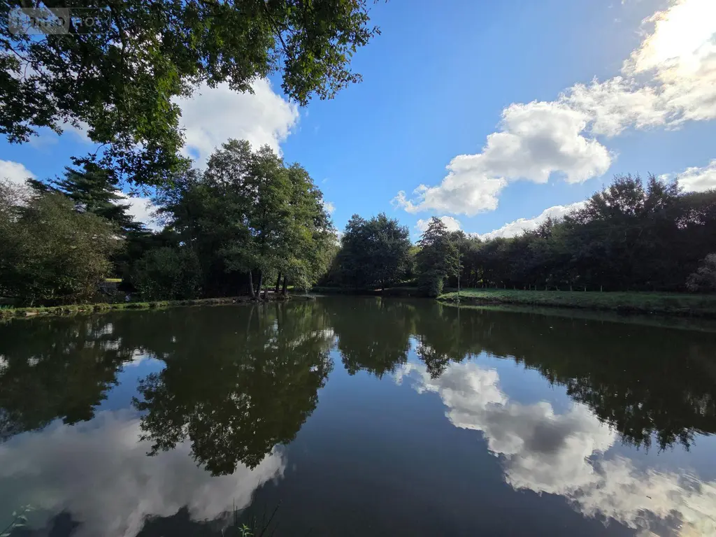 Terrains de loisirs bois etangs a vendre Vimartin-sur-Orthe 53160 Mayenne 53 18 m2 26500 euros 1373 001