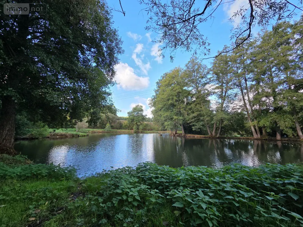 Terrains de loisirs bois etangs a vendre Vimartin-sur-Orthe 53160 Mayenne 53 18 m2 26500 euros 1373 005