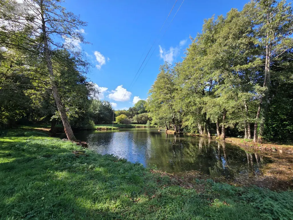 Terrains de loisirs bois etangs a vendre Vimartin-sur-Orthe 53160 Mayenne 53 18 m2 26500 euros 1373 024