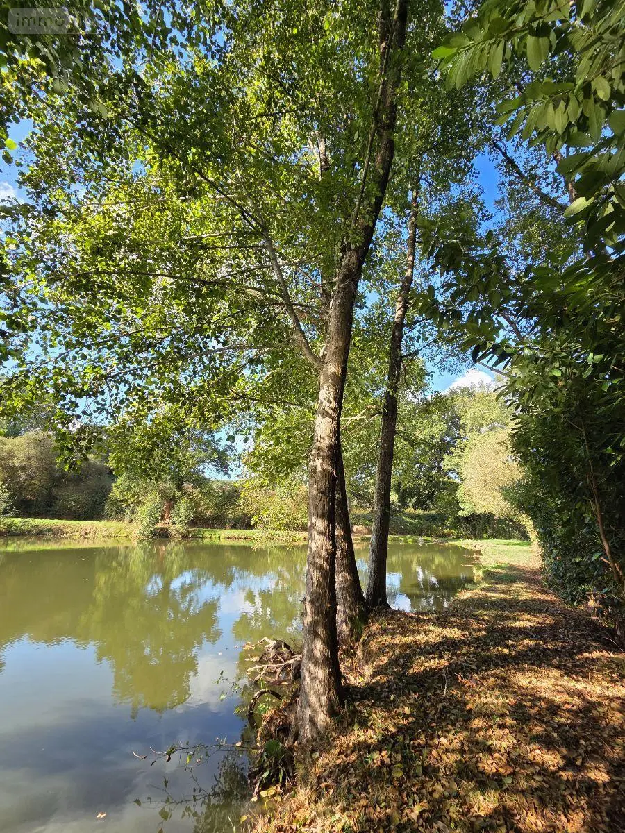 Terrains de loisirs bois etangs a vendre Vimartin-sur-Orthe 53160 Mayenne 53 18 m2 26500 euros 1373 014