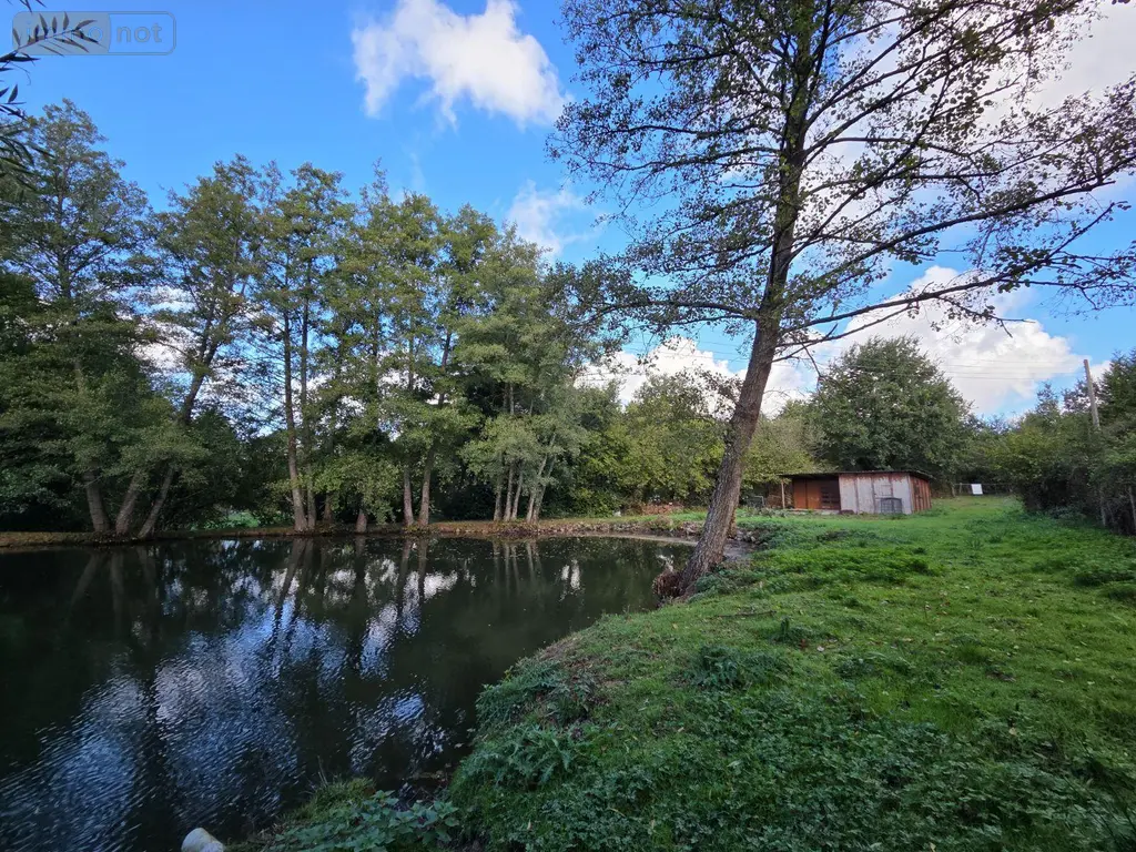 Terrains de loisirs bois etangs a vendre Vimartin-sur-Orthe 53160 Mayenne 53 18 m2 26500 euros 1373 020