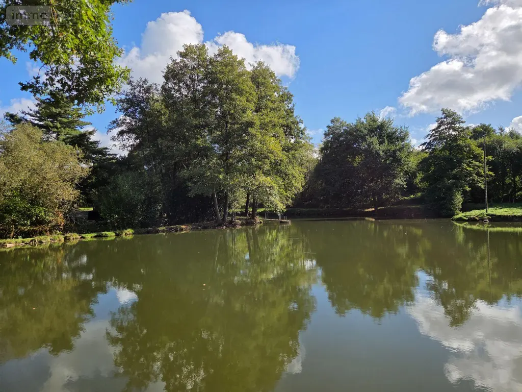 Terrains de loisirs bois etangs a vendre Vimartin-sur-Orthe 53160 Mayenne 53 18 m2 26500 euros 1373 025