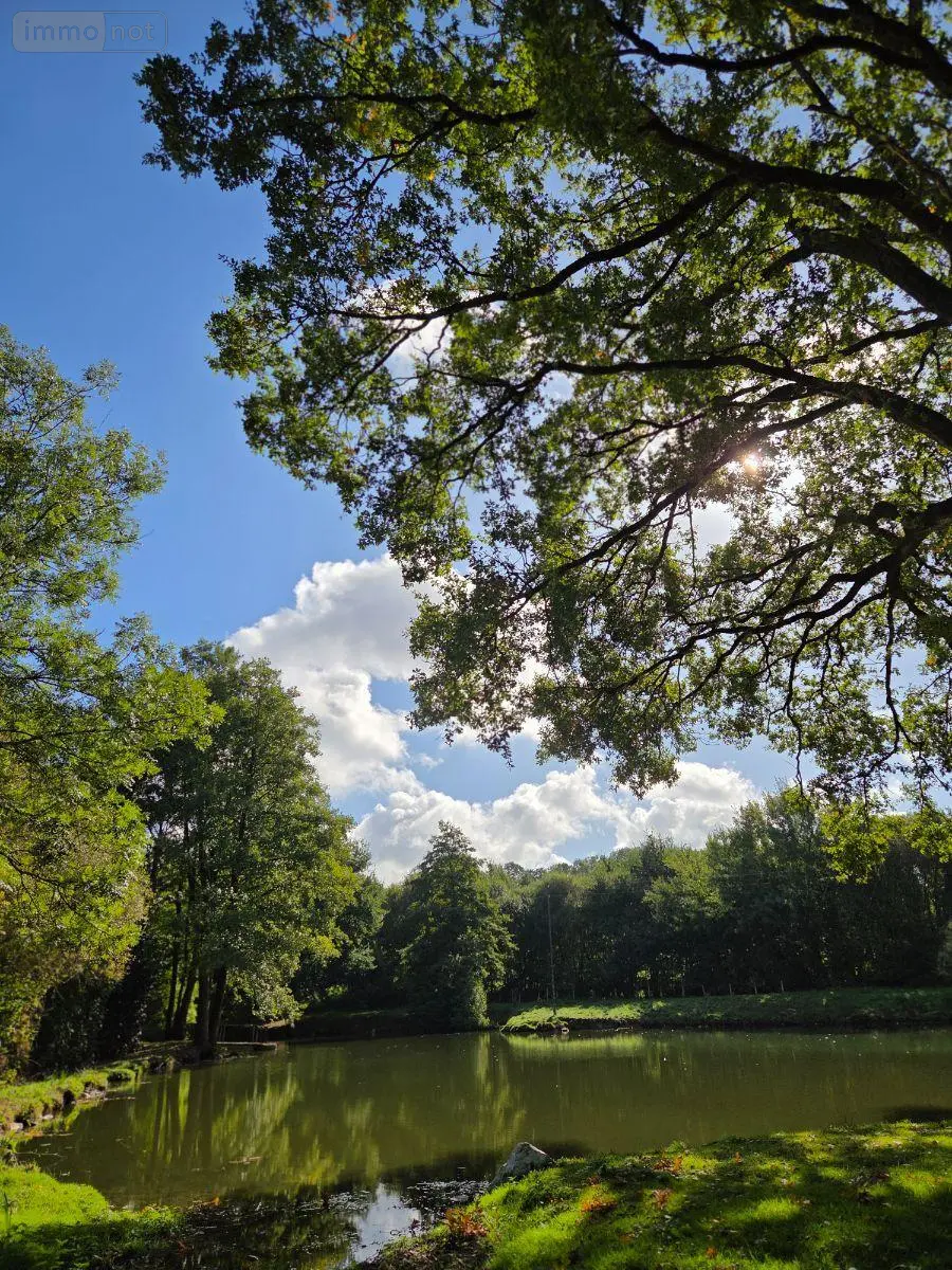 Terrains de loisirs bois etangs a vendre Vimartin-sur-Orthe 53160 Mayenne 53 18 m2 26500 euros 1373 028