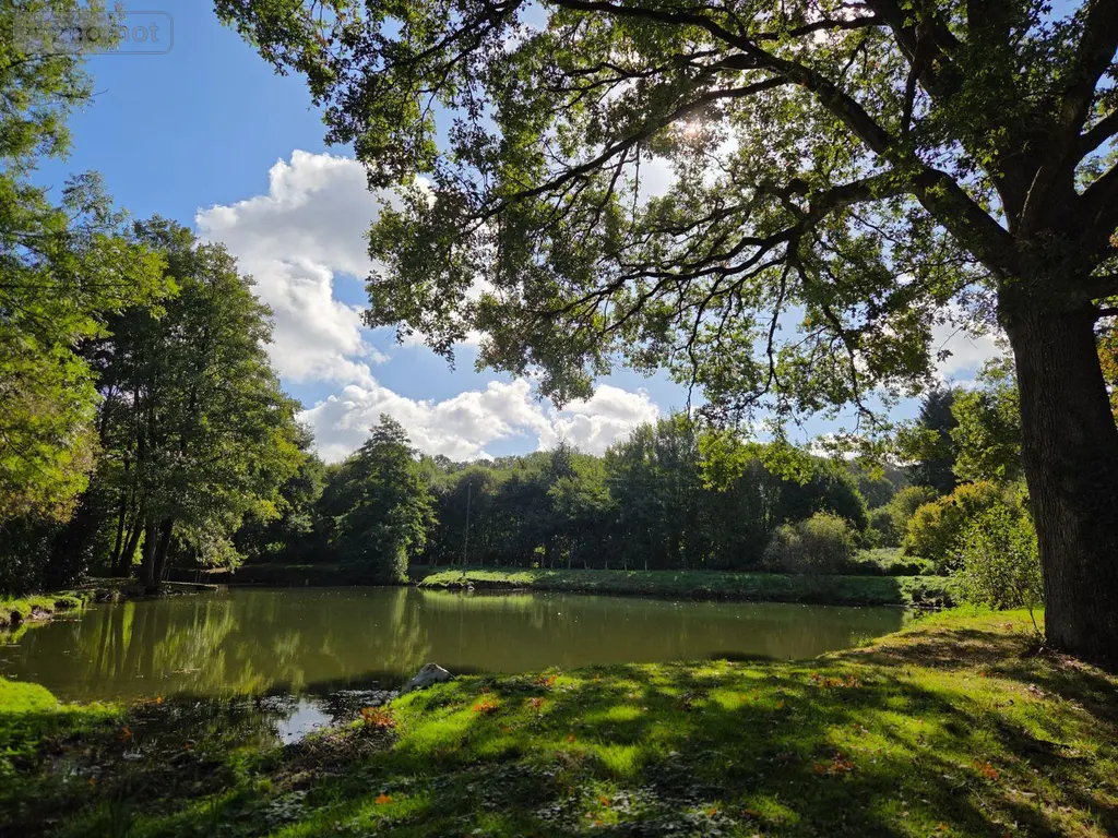 Terrains de loisirs bois etangs a vendre Vimartin-sur-Orthe 53160 Mayenne 53 18 m2 26500 euros 1373 026