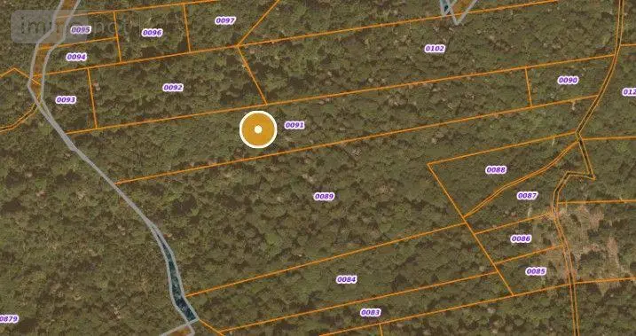 Terrains de loisirs bois etangs a vendre Saint-Amandin 15190 Cantal 15 40000 euros FG/2433 002