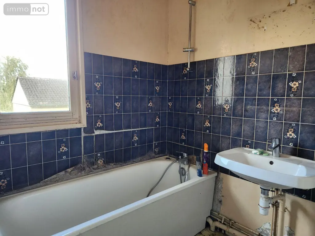 Maison a vendre Ville-sous-la-Ferté 10310 Aube 10 91 m2 4 pièces 50000 euros 10379/631 006