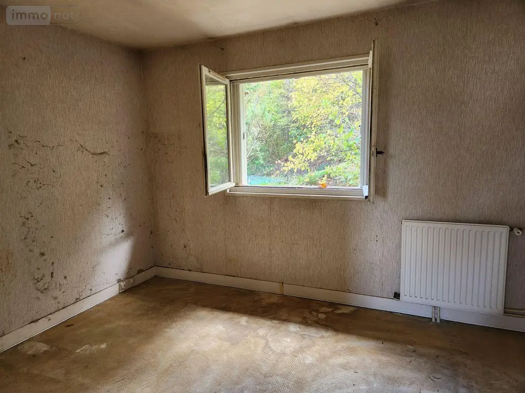 Maison a vendre Ville-sous-la-Ferté 10310 Aube 10 91 m2 4 pièces 50000 euros 10379/631 010