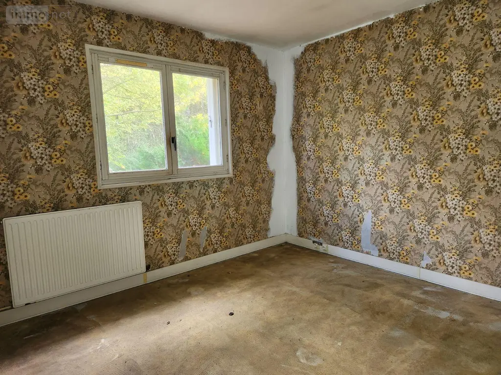 Maison a vendre Ville-sous-la-Ferté 10310 Aube 10 91 m2 4 pièces 50000 euros 10379/631 012