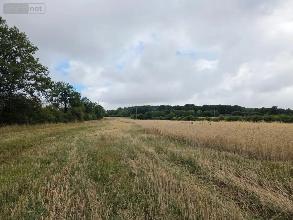 Bien agricole a vendre Villaines-la-Juhel 53700 Mayenne 53 95111 euros 1375 007