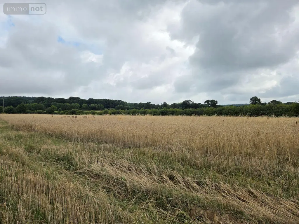 Bien agricole a vendre Villaines-la-Juhel 53700 Mayenne 53 95111 euros 1375 009