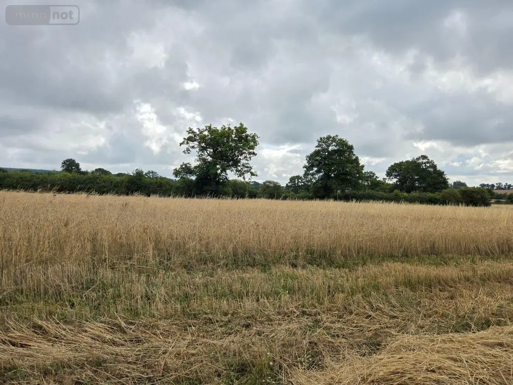Bien agricole a vendre Villaines-la-Juhel 53700 Mayenne 53 95111 euros 1375 013