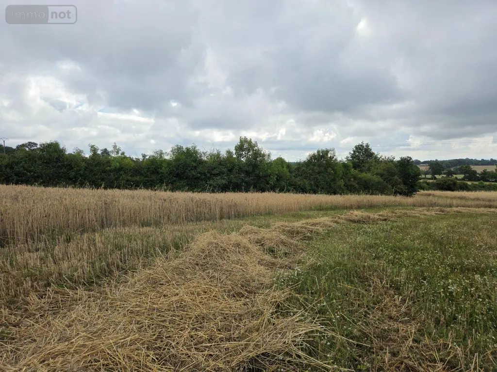 Bien agricole a vendre Villaines-la-Juhel 53700 Mayenne 53 95111 euros 1375 015