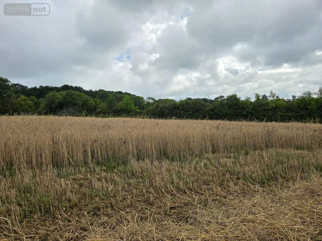 Bien agricole a vendre Villaines-la-Juhel 53700 Mayenne 53 95111 euros 1375 021