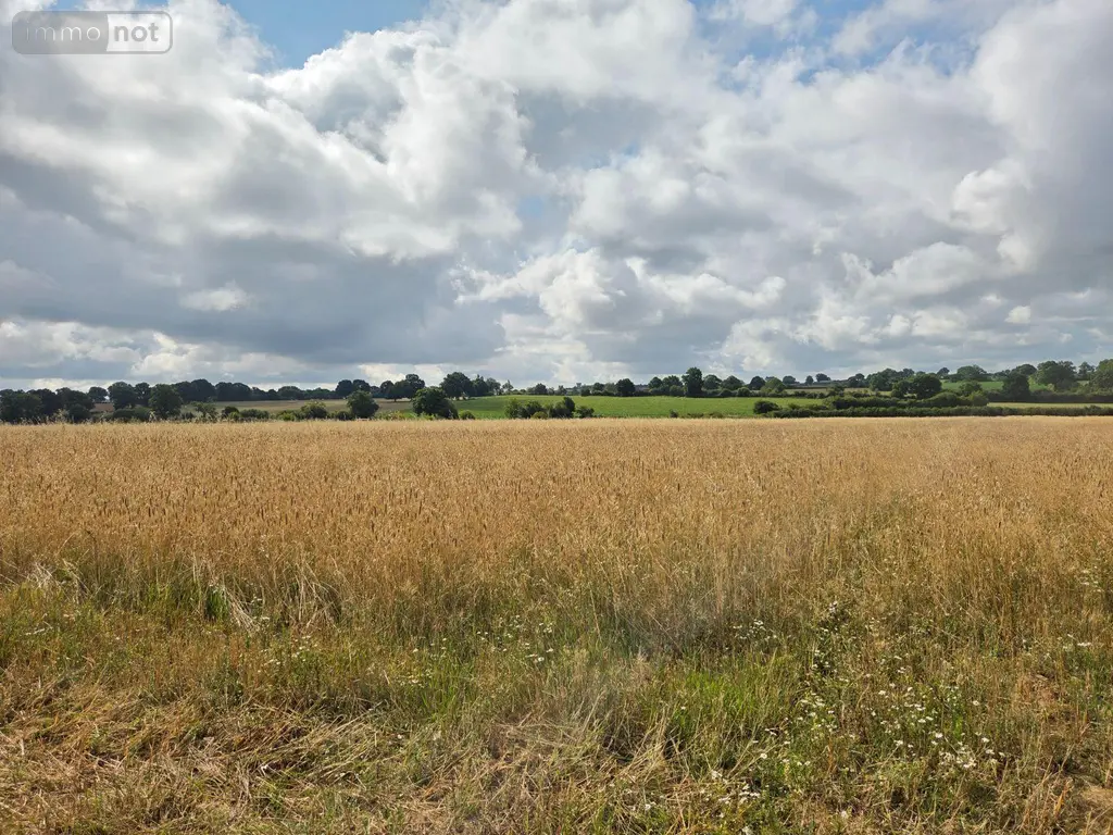 Bien agricole a vendre Villaines-la-Juhel 53700 Mayenne 53 95111 euros 1375 024