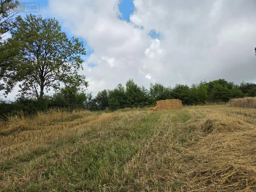 Bien agricole a vendre Villaines-la-Juhel 53700 Mayenne 53 95111 euros 1375 028