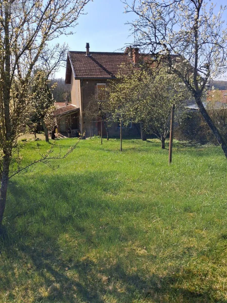 Maison a vendre Bayard-sur-Marne 52170 Haute-Marne 52 98 m2 5 pièces 99000 euros JO/1027 003