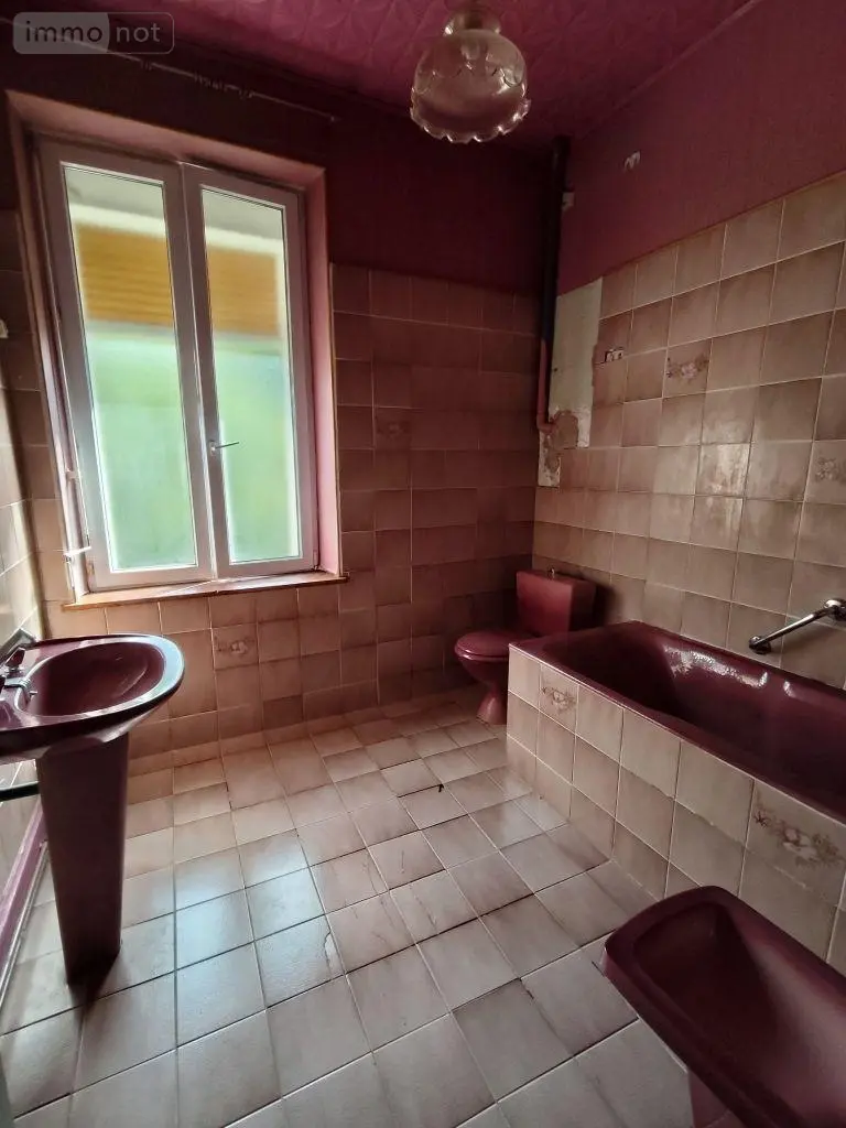 Maison a vendre Bayard-sur-Marne 52170 Haute-Marne 52 98 m2 5 pièces 99000 euros JO/1027 015