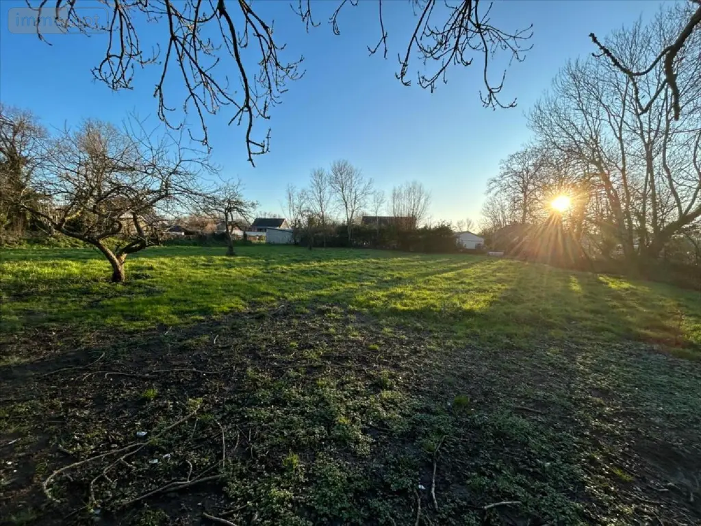 Terrain a batir a vendre Gouville-sur-Mer 50560 Manche 50 313000 euros 4182 002