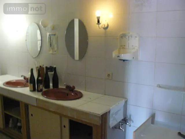 Immeuble de rapport a vendre Rambervillers 88700 Vosges 88 380 m2 12 pièces 280800 euros 2253 008
