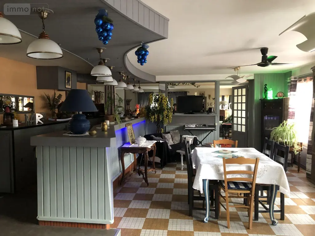 Maison a vendre Pruniers 36120 Indre 36 236 m2 10 pièces 126480 euros 11813/1486 002