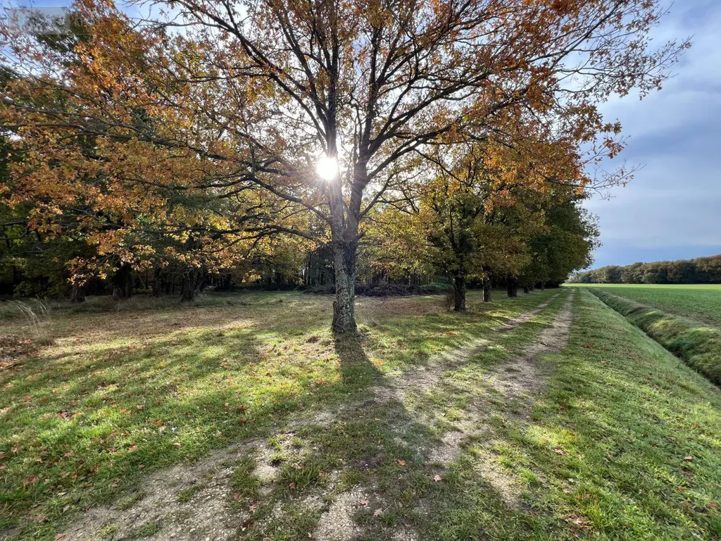 Propriete a vendre La Pérouille 36350 Indre 36 297 m2 8 pièces 871500 euros JA/791 010