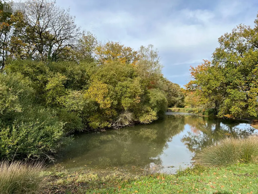 Propriete a vendre La Pérouille 36350 Indre 36 297 m2 8 pièces 871500 euros JA/791 011