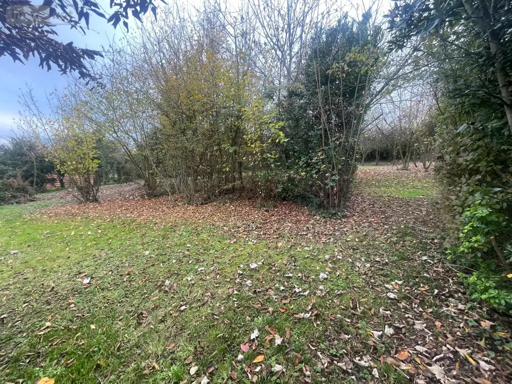 Maison a vendre Le Grand-Lucé 72150 Sarthe 72 159 m2 12 pièces 199500 euros 13816/1173 006
